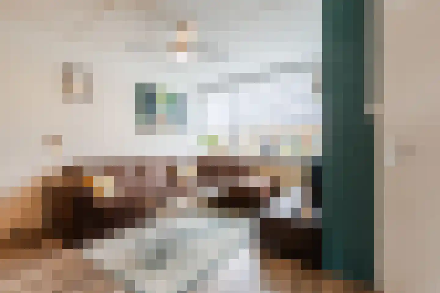 Hoogmade 31 Zevenbergen thumbnail 7