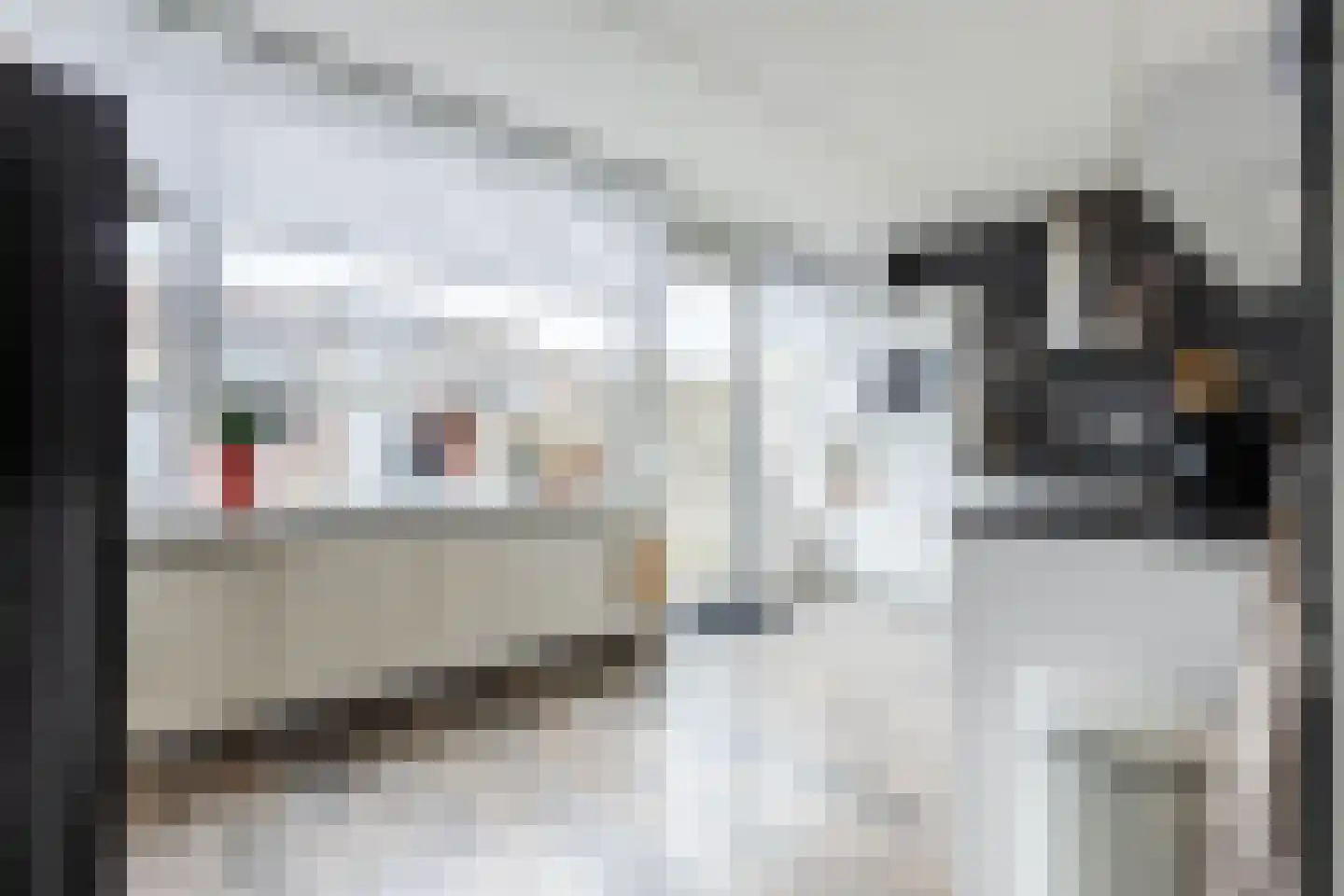 Hoogmade 31 Zevenbergen thumbnail 9