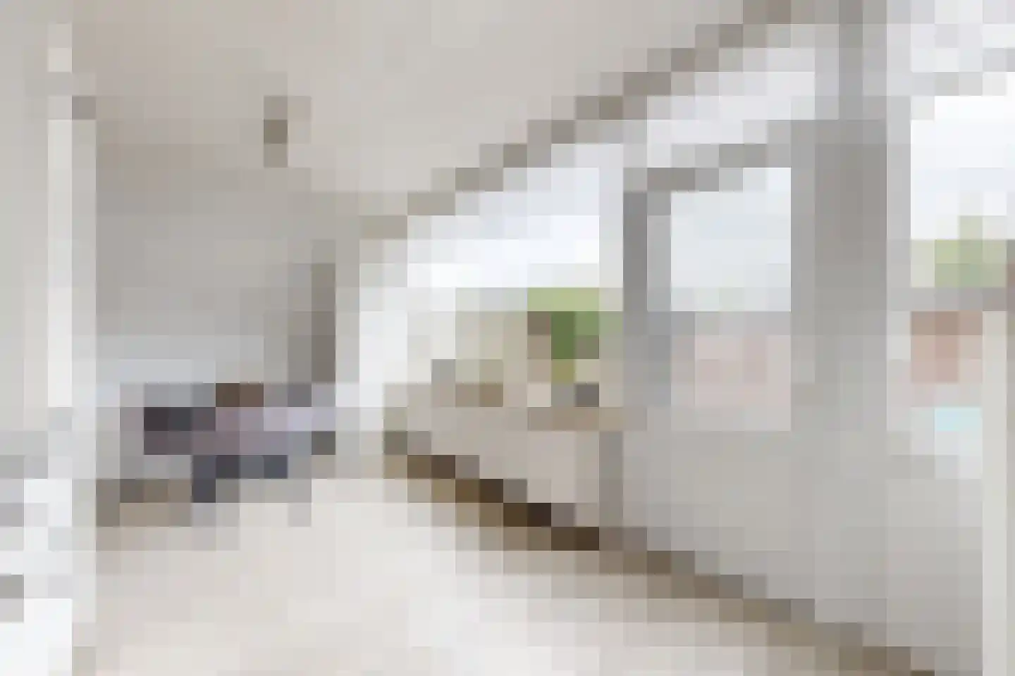 Hoogmade 45 Zevenbergen thumbnail 23