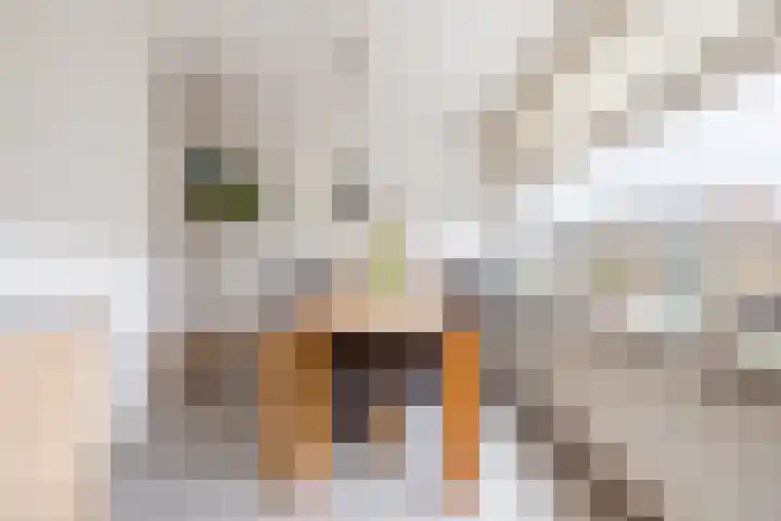 Hoogmade 47 Zevenbergen thumbnail 16