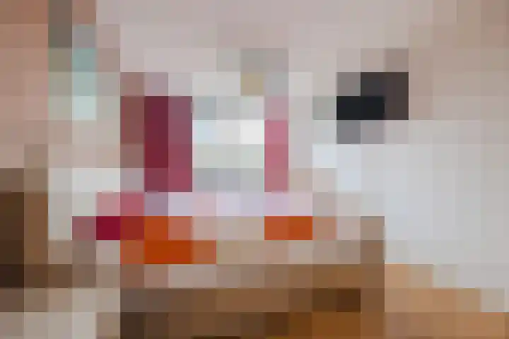 Hoogmade 47 Zevenbergen thumbnail 20