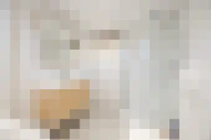 Hoogmade 47 Zevenbergen thumbnail 27