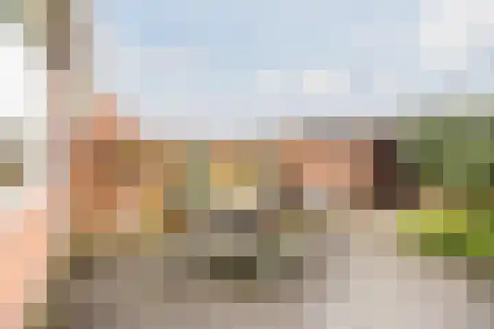 Hoogmade 47 Zevenbergen thumbnail 33