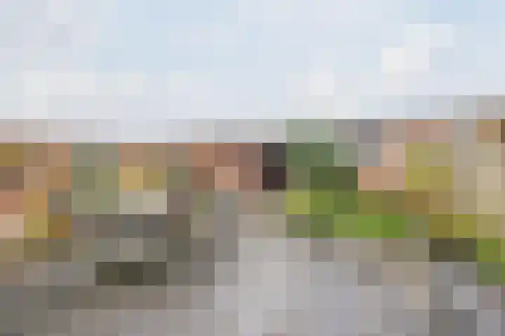 Hoogmade 47 Zevenbergen thumbnail 34
