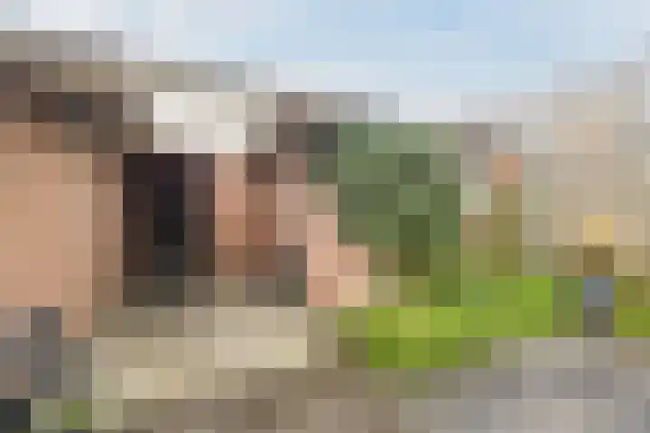 Hoogmade 47 Zevenbergen thumbnail 36
