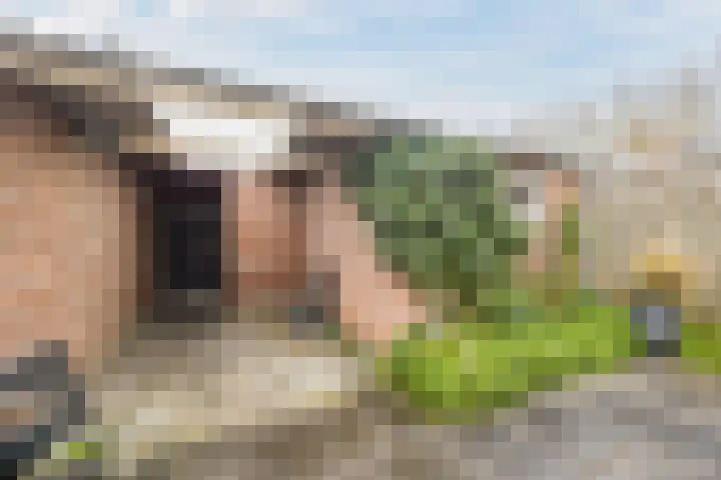 Hoogmade 47 Zevenbergen thumbnail 36