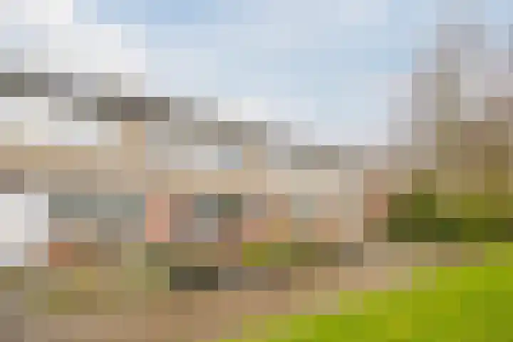 Hoogmade 47 Zevenbergen thumbnail 5