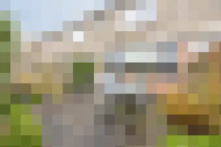 Hoogmade 47 Zevenbergen thumbnail 6