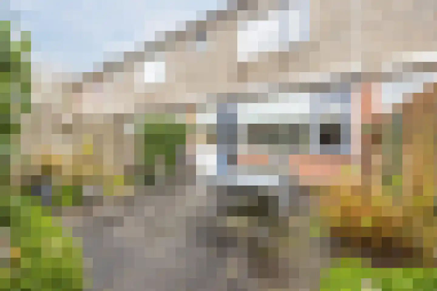 Hoogmade 47 Zevenbergen thumbnail 6