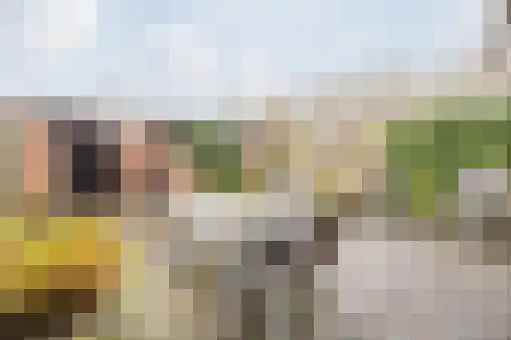 Hoogmade 47 Zevenbergen thumbnail 7