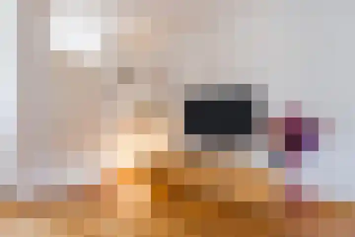 Hoogmade 47 Zevenbergen thumbnail 9