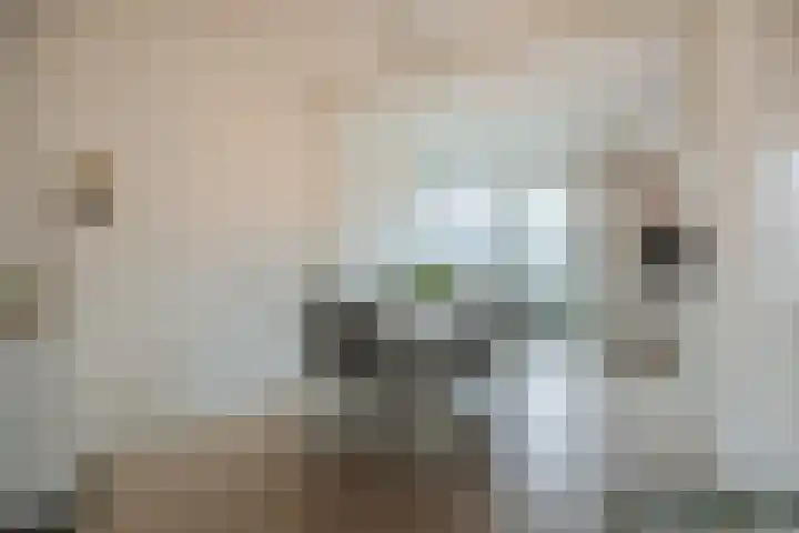 Hoogmade 48 Zevenbergen thumbnail 11