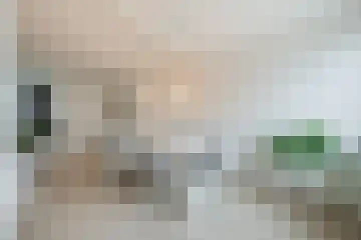 Hoogmade 48 Zevenbergen thumbnail 12