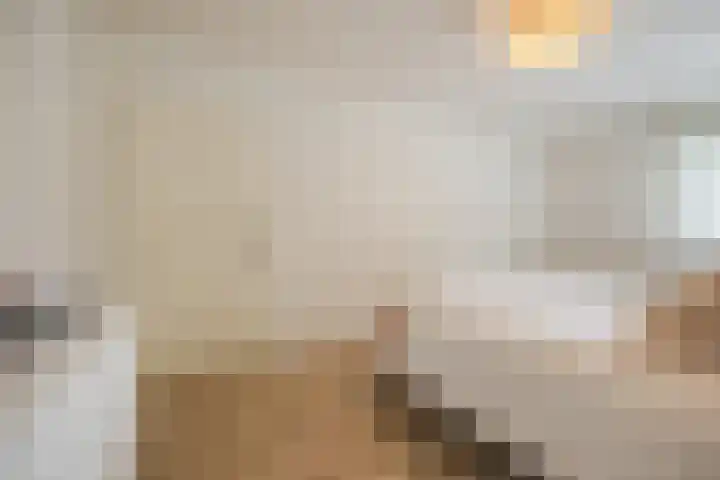 Hoogmade 48 Zevenbergen thumbnail 21