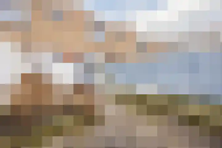 Hoogmade 48 Zevenbergen thumbnail 29