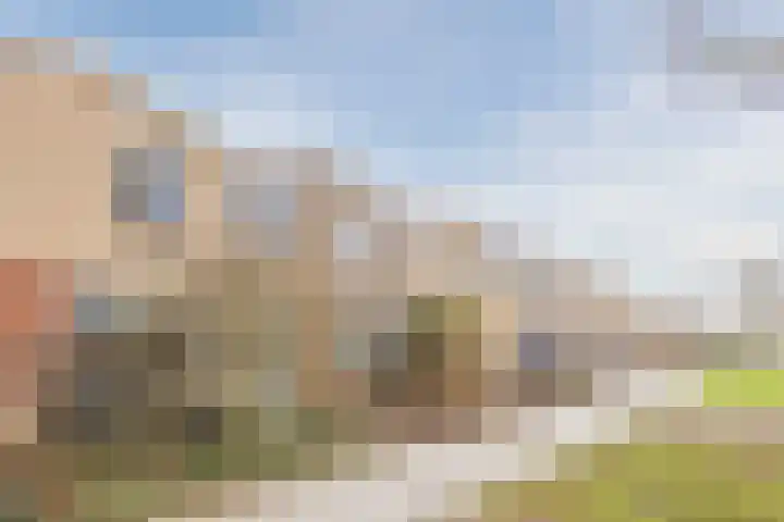 Hoogmade 48 Zevenbergen thumbnail 31