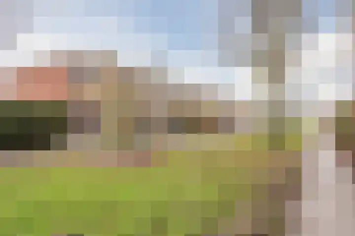 Hoogmade 48 Zevenbergen thumbnail 33