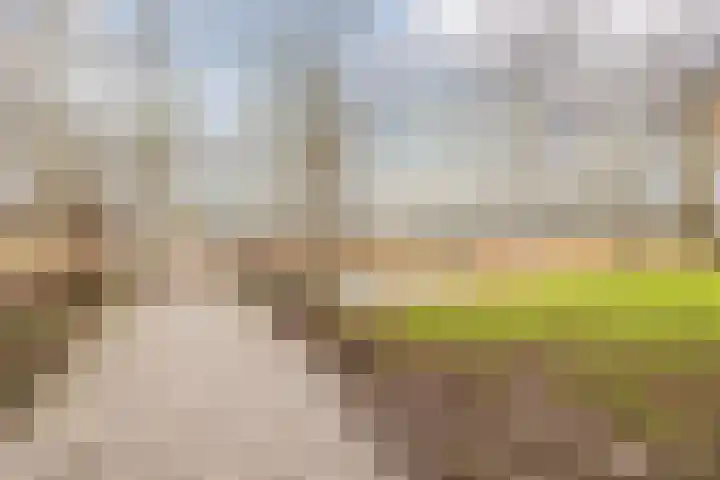 Hoogmade 48 Zevenbergen thumbnail 34