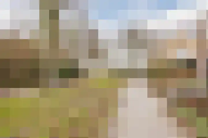Hoogmade 48 Zevenbergen thumbnail 35