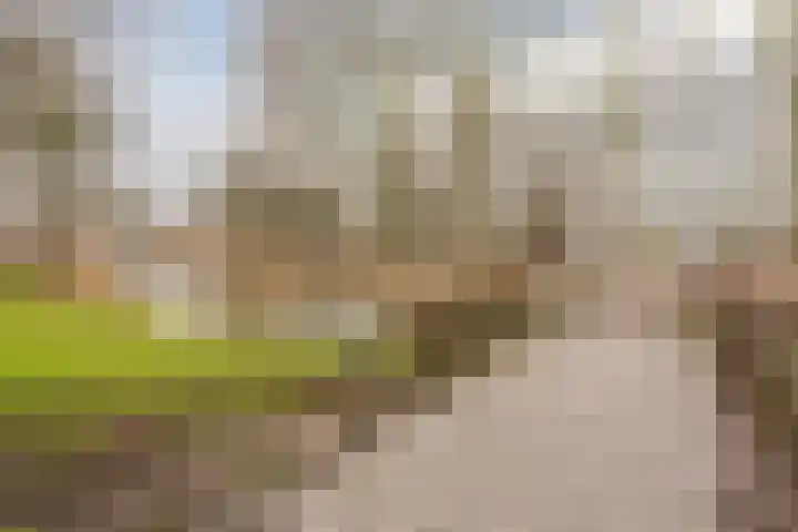 Hoogmade 48 Zevenbergen thumbnail 36