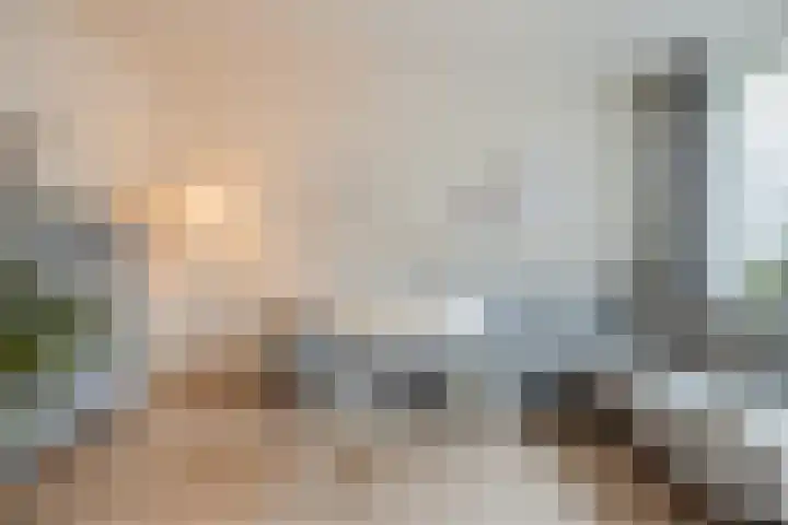 Hoogmade 48 Zevenbergen thumbnail 8
