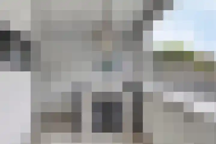 Hoogmade 49 Zevenbergen thumbnail 11
