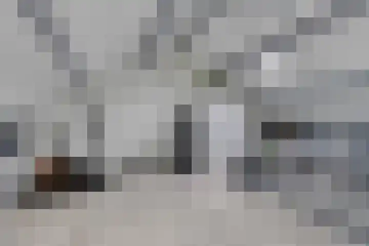 Hoogmade 49 Zevenbergen thumbnail 22