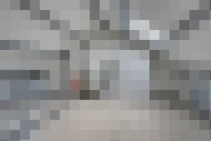 Hoogmade 49 Zevenbergen thumbnail 23