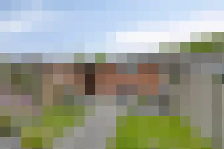 Hoogmade 49 Zevenbergen thumbnail 24