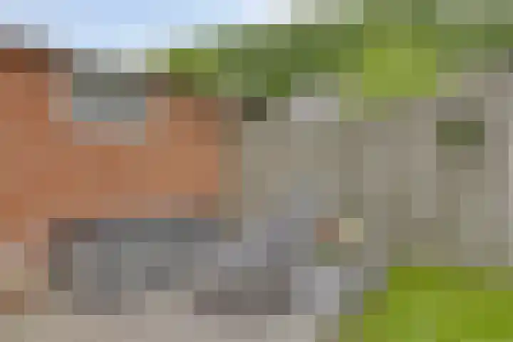 Hoogmade 49 Zevenbergen thumbnail 26