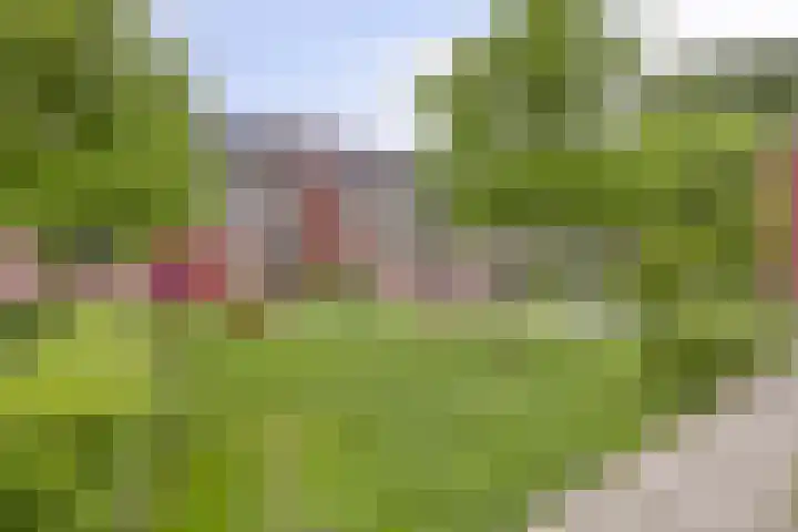 Hoogmade 49 Zevenbergen thumbnail 4
