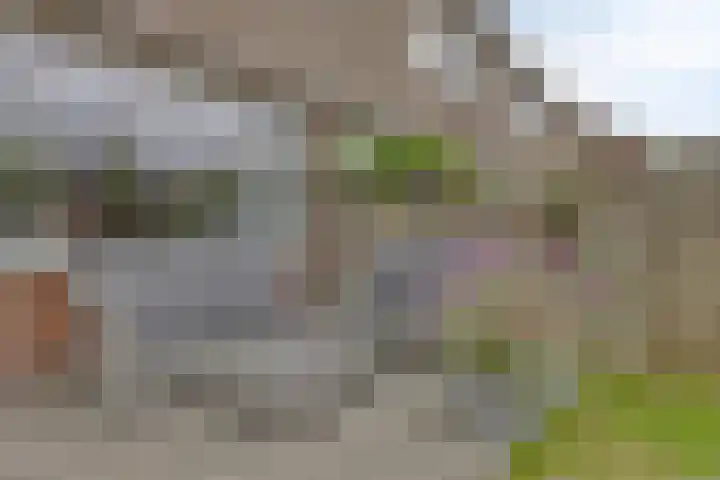 Hoogmade 49 Zevenbergen thumbnail 5