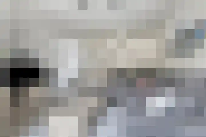 Hoogmade 49 Zevenbergen thumbnail 8