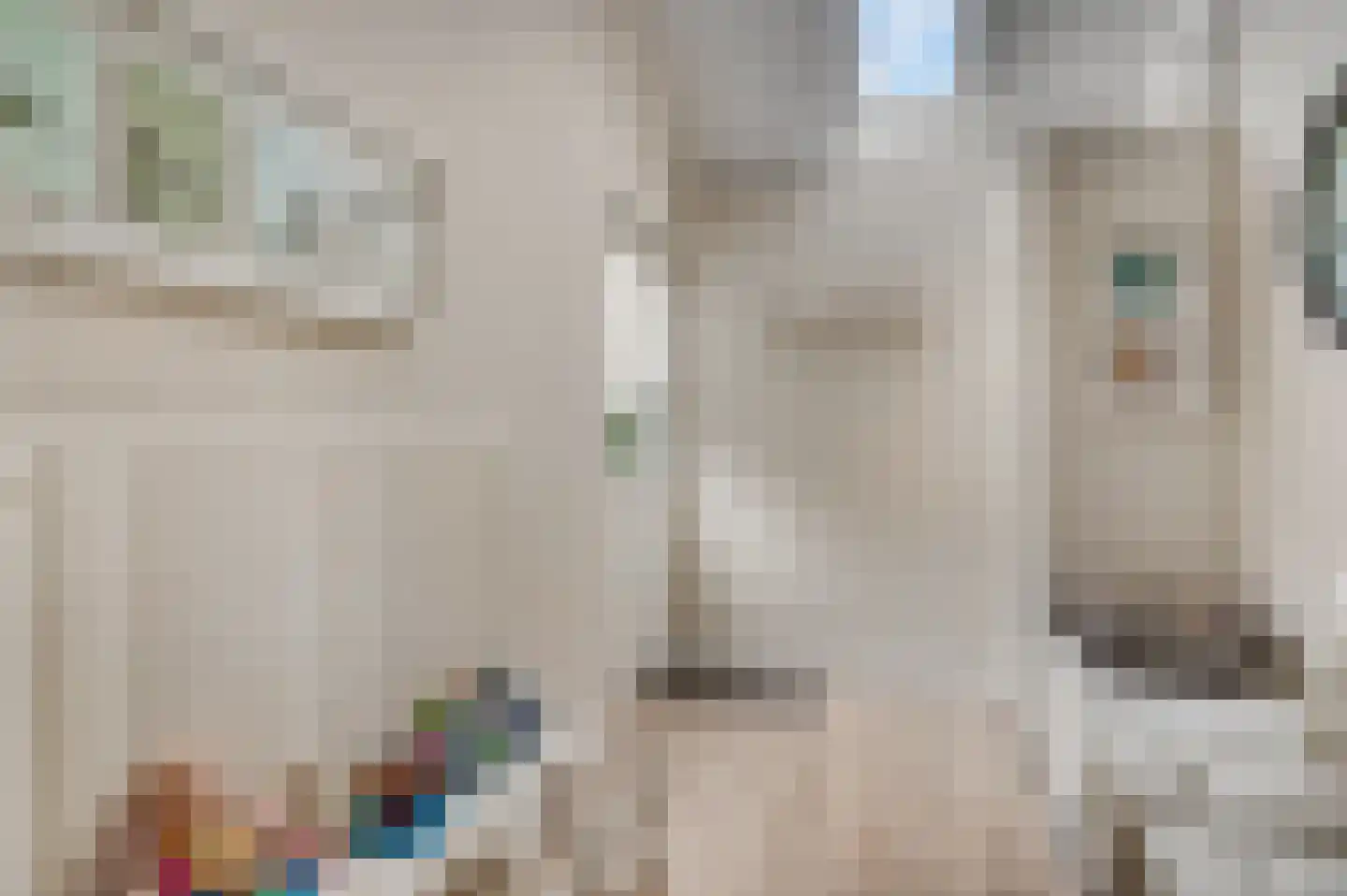 Hoogmadepad 5 Arnhem thumbnail 13