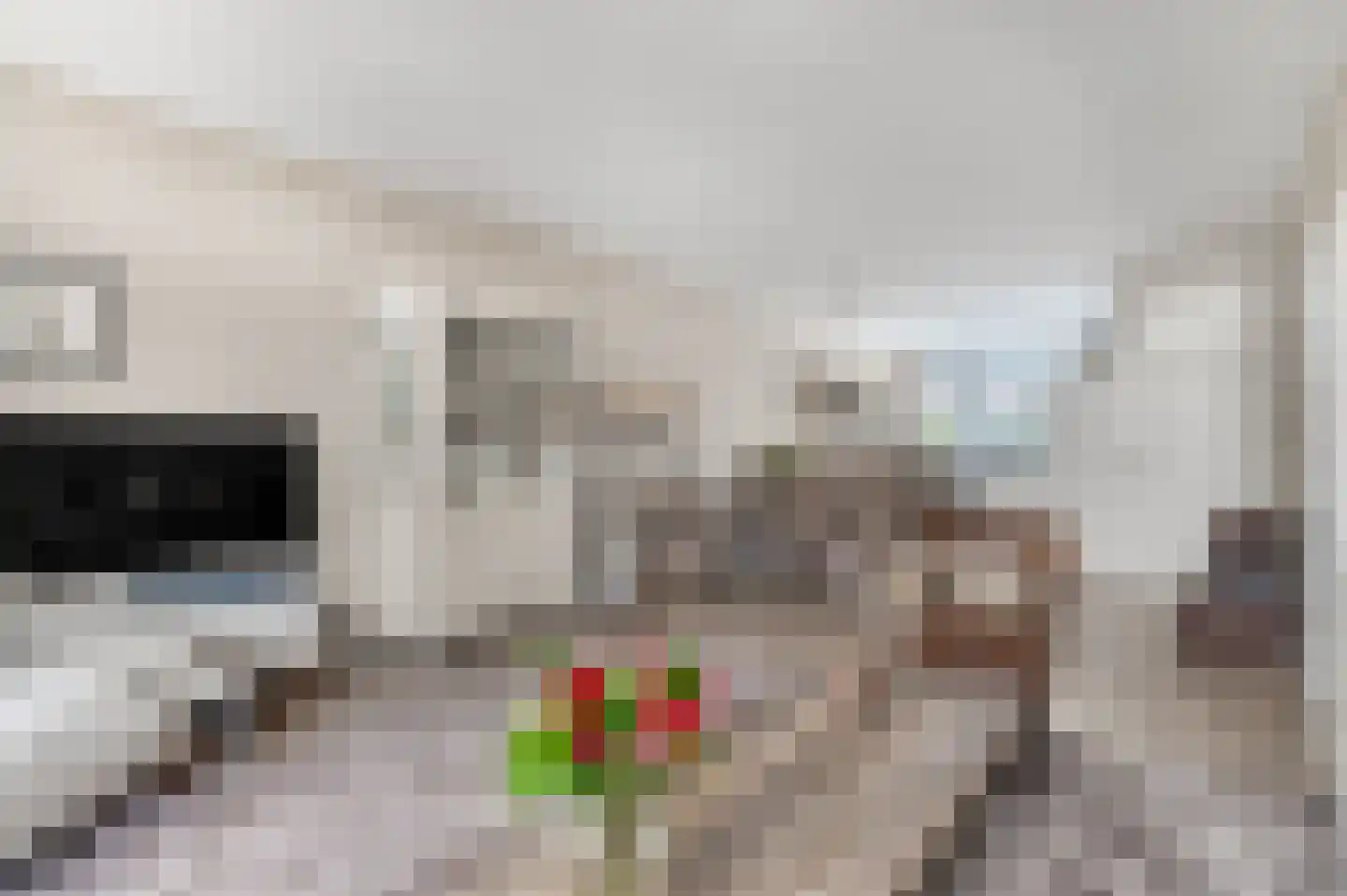 Hoogmadepad 5 Arnhem thumbnail 18