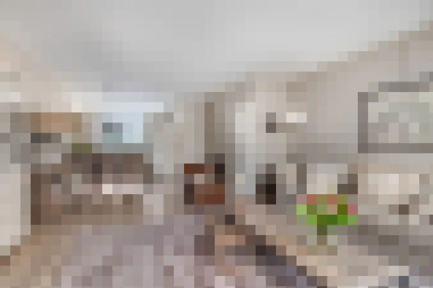 Hoogmadepad 5 Arnhem thumbnail 19