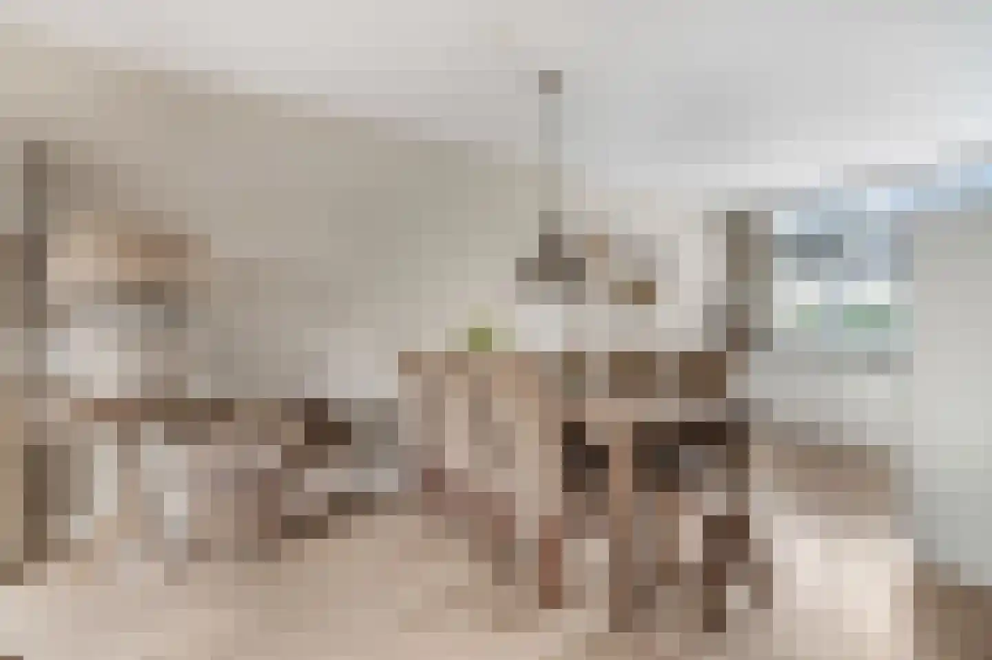 Hoogmadepad 5 Arnhem thumbnail 21