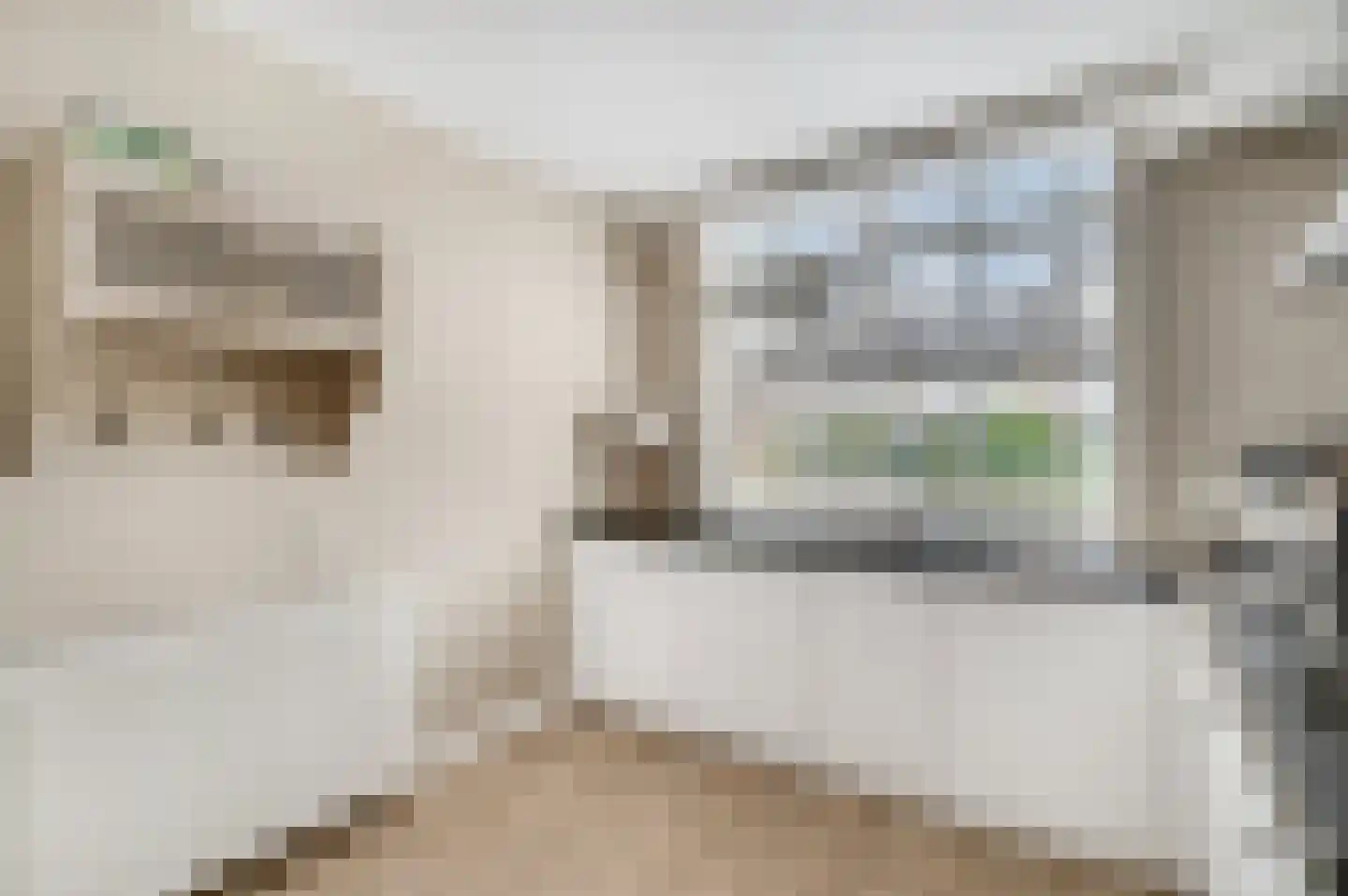 Hoogmadepad 5 Arnhem thumbnail 25