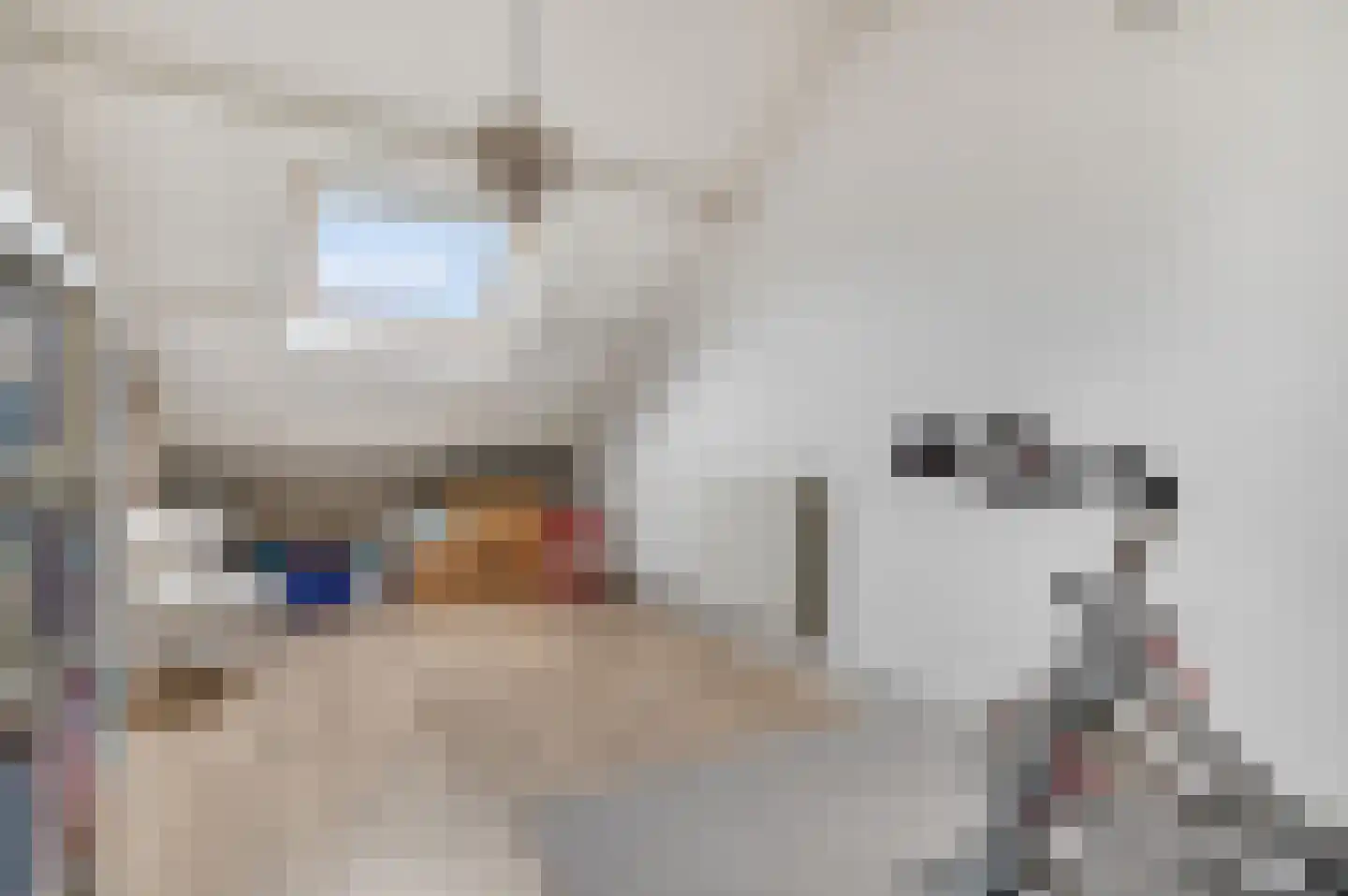Hoogmadepad 5 Arnhem thumbnail 45