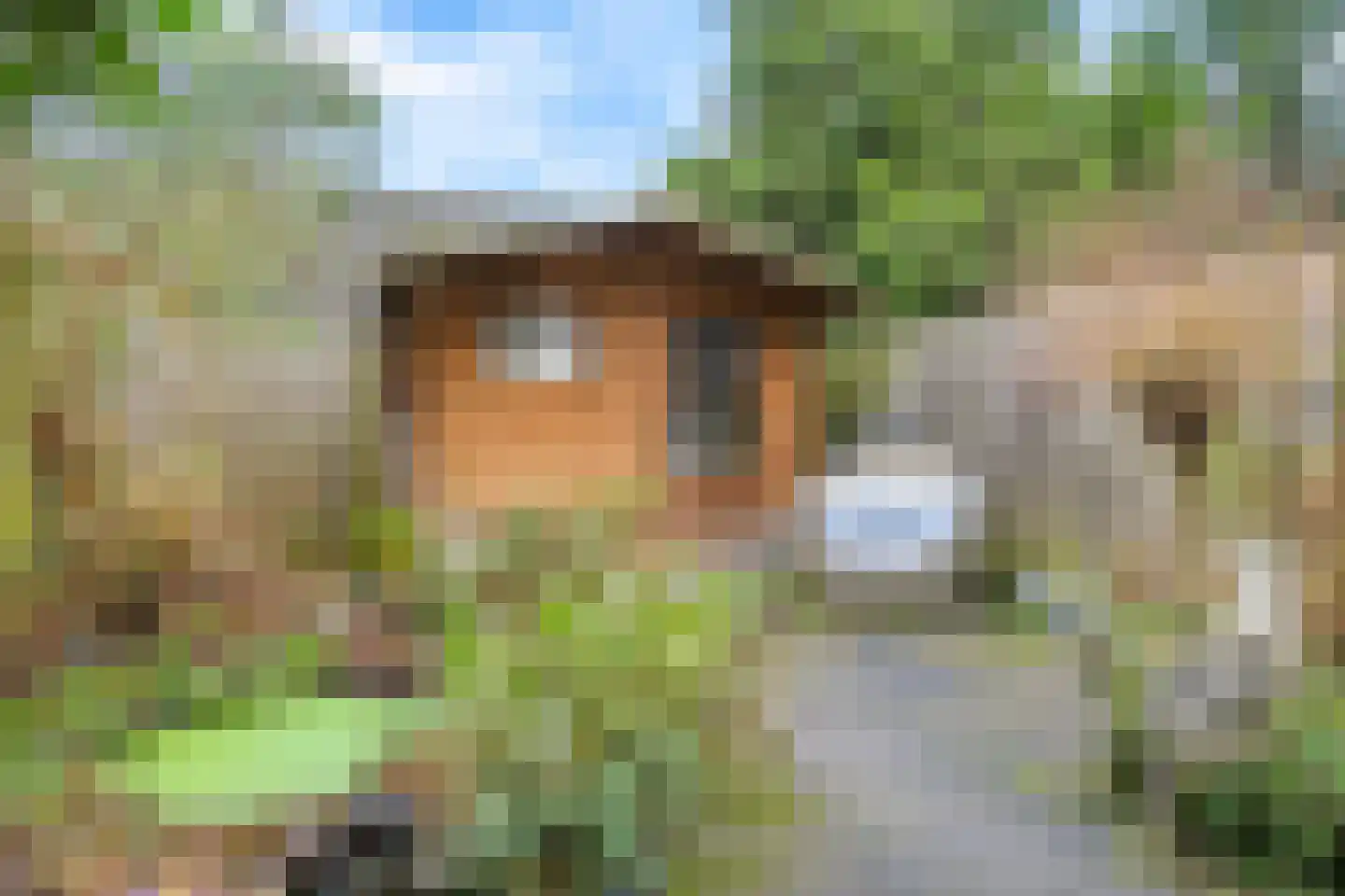Hoogmadepad 5 Arnhem thumbnail 50