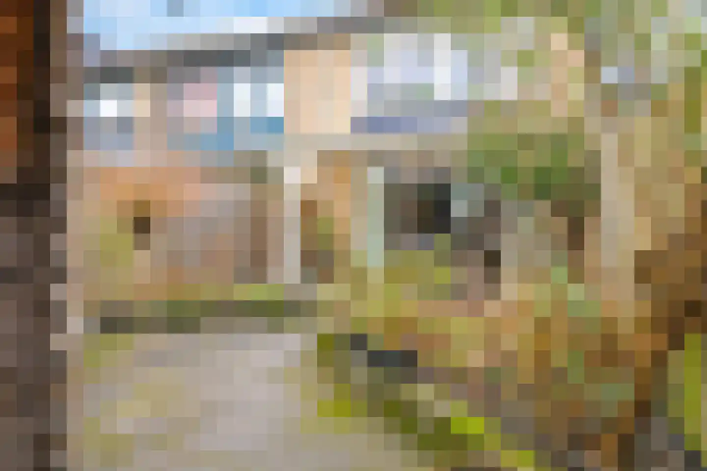 Hoogmadepad 5 Arnhem thumbnail 52
