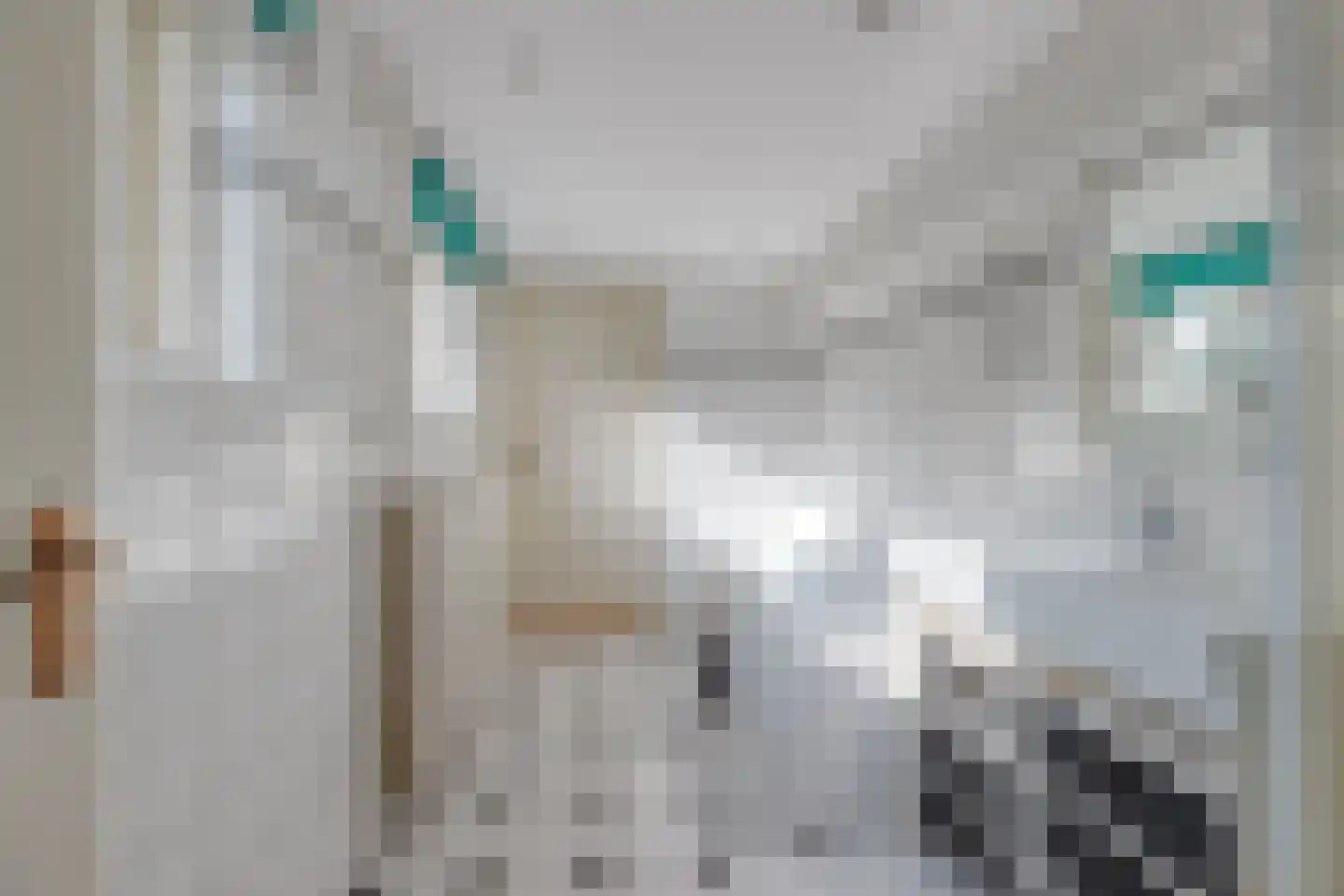 Hoogmadeseweg 17 Leiderdorp thumbnail 10