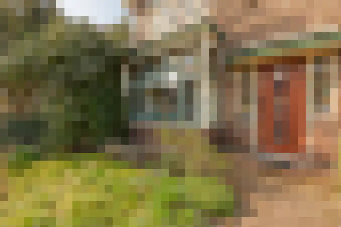 Hoogmadeseweg 17 Leiderdorp thumbnail 34