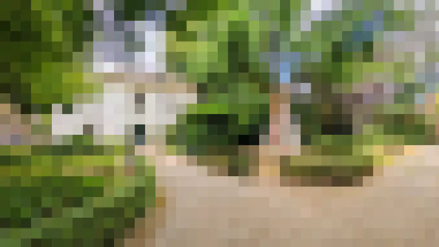 Hoogmadeseweg 17 Leiderdorp thumbnail 38