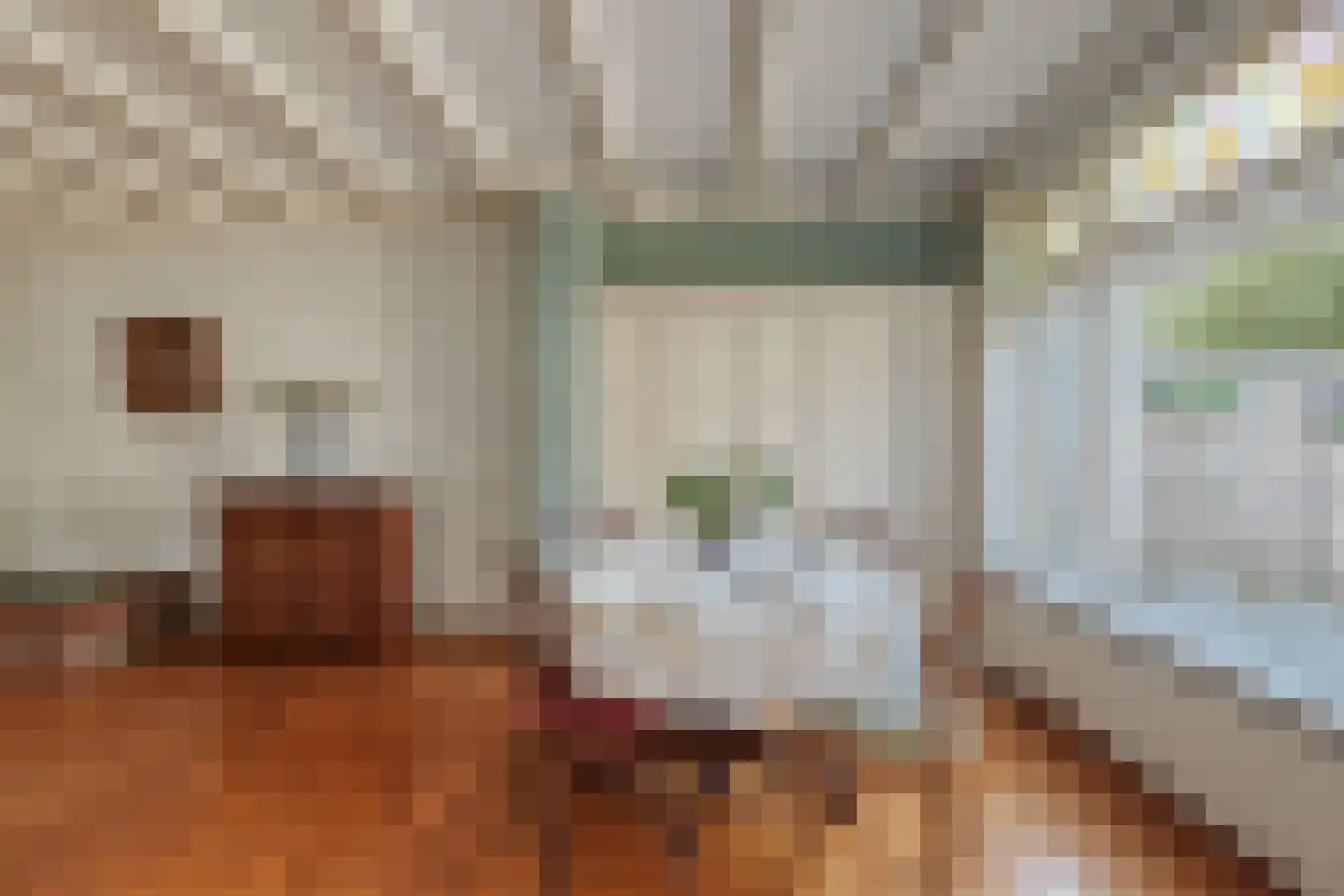Hoogmadeseweg 17 Leiderdorp thumbnail 4