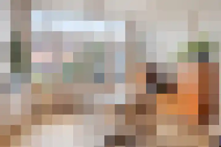 Hoogmadeseweg 28 Leiderdorp thumbnail 18