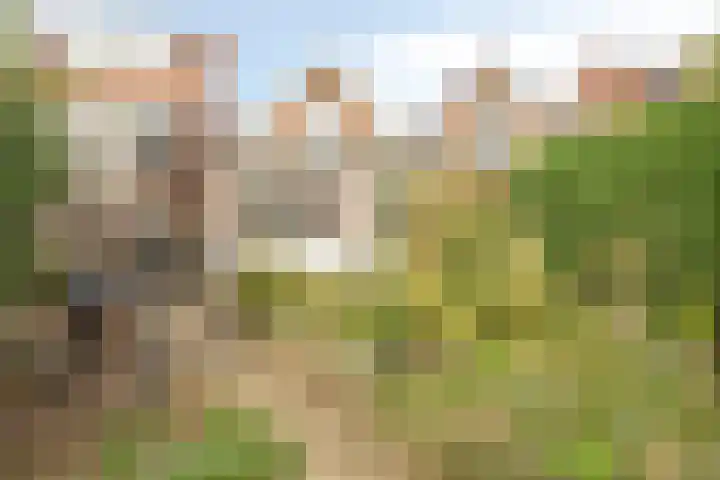 Hoogmadeseweg 28 Leiderdorp thumbnail 20