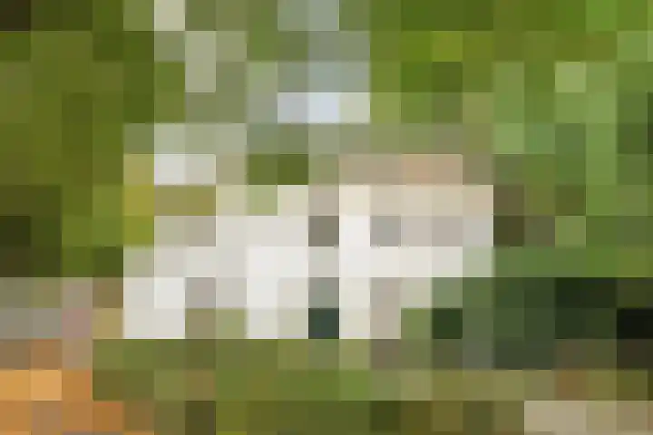 Hoogmadeseweg 28 Leiderdorp thumbnail 32