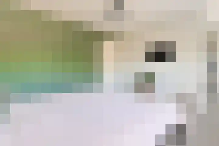 Hoogmadeseweg 41 G Leiderdorp thumbnail 27
