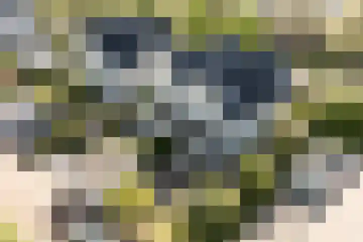 Hoogmadeseweg 41 G Leiderdorp thumbnail 43